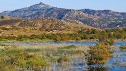 667c40febad3e3af0ddc43a5 Dreamstime Xxl 21845559 667c40febad3e3af0ddc43a5 Dreamstime Xxl 21845559