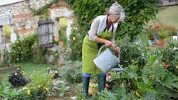 668312ff163e47556ad66388 Dreamstime Xxl 33885090 668312ff163e47556ad66388 Dreamstime Xxl 33885090