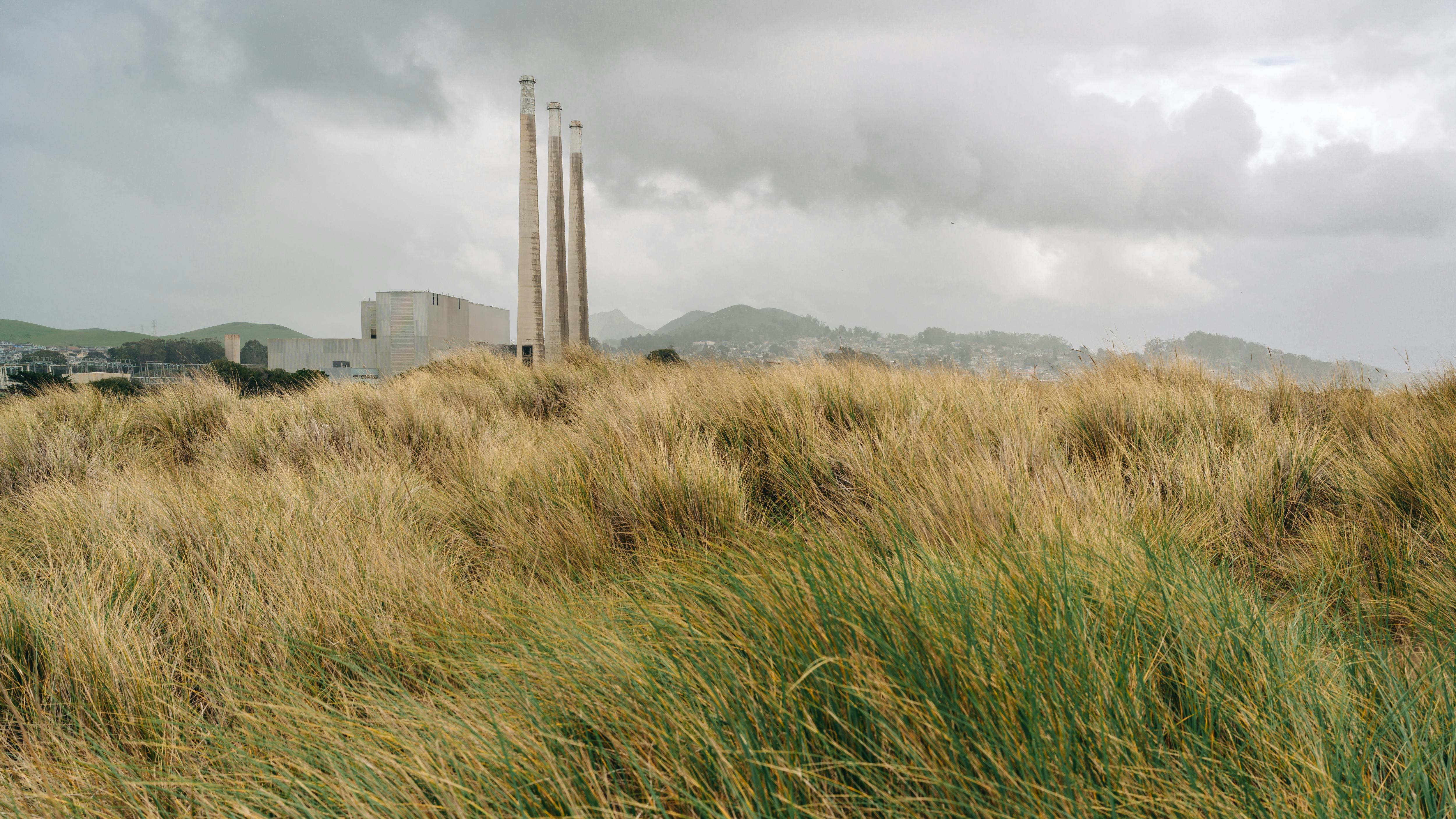 668455f0a78424e0a7696897 Dreamstime Xxl 308995544