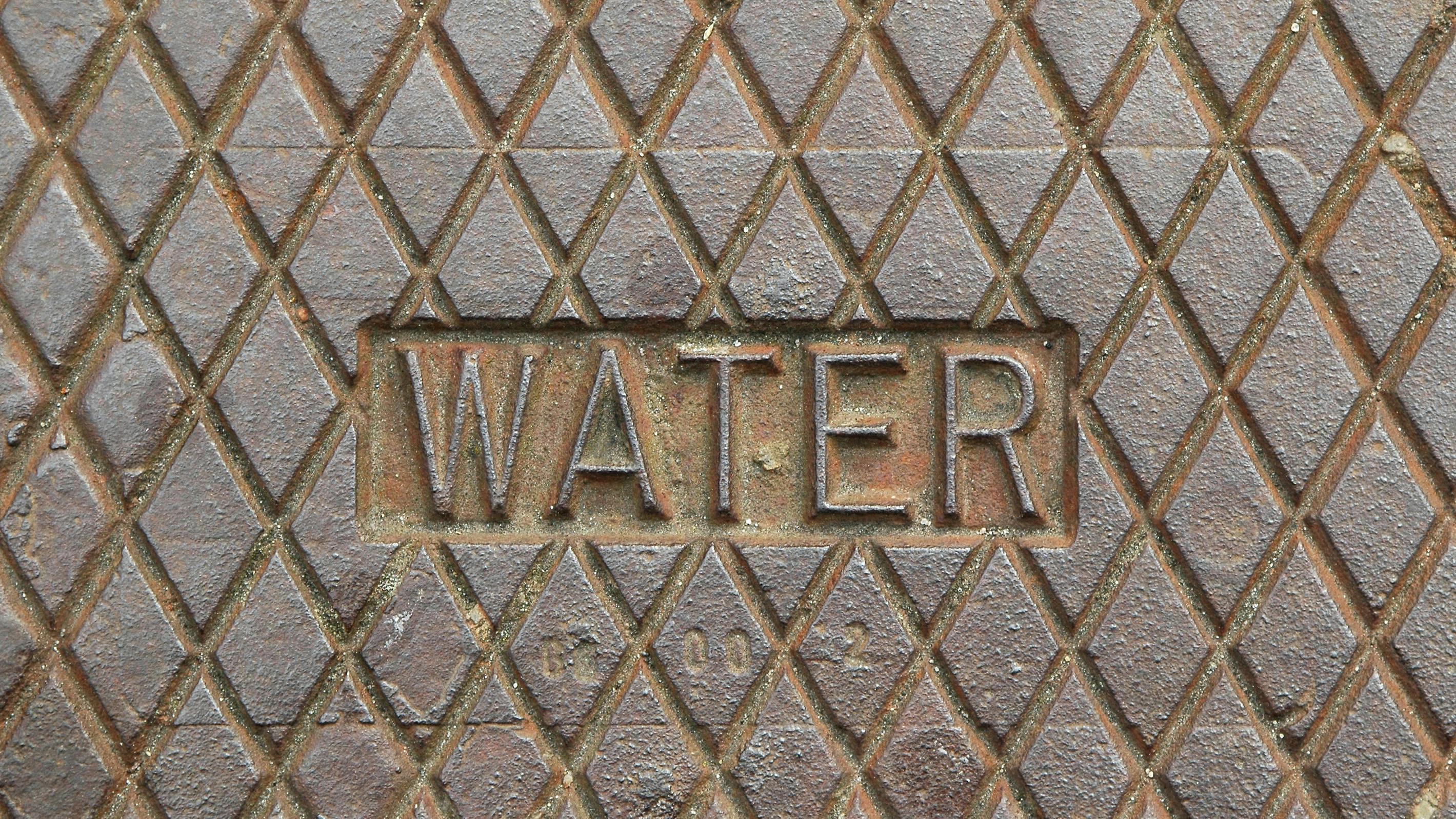 66a26393a6a37101a4a2a4b0 Dreamstime L 936460