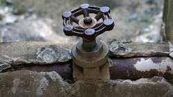 66b63fd6615141a598640005 Dreamstime M 186606775 66b63fd6615141a598640005 Dreamstime M 186606775