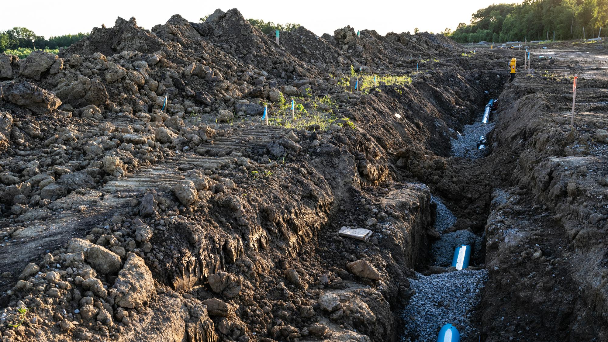 66c3a6e6590b5b44e9291a8c Dreamstime M 321469691