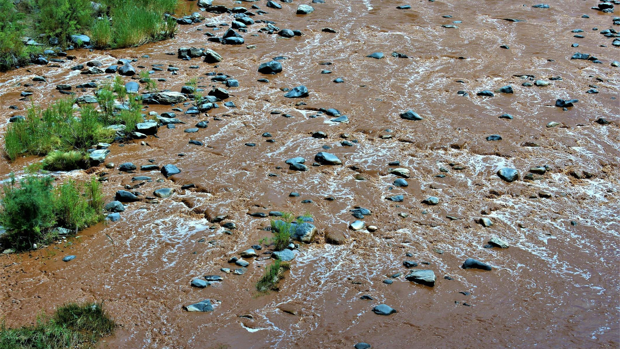 66d73596424400444d4f8c7d Dreamstime M 121901871