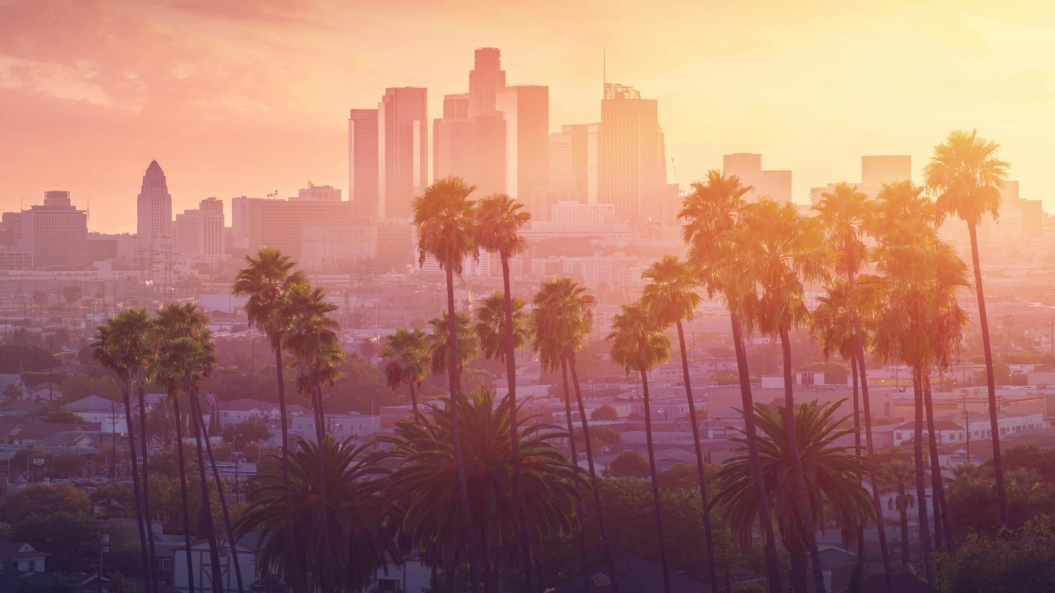 66e1fca52b05fe82f005495f Dreamstime M 174772001