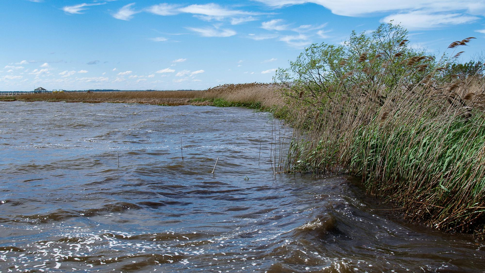 66faf95a142cb3de03949b2e Dreamstime M 145626951