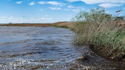 66faf95a142cb3de03949b2e Dreamstime M 145626951 66faf95a142cb3de03949b2e Dreamstime M 145626951