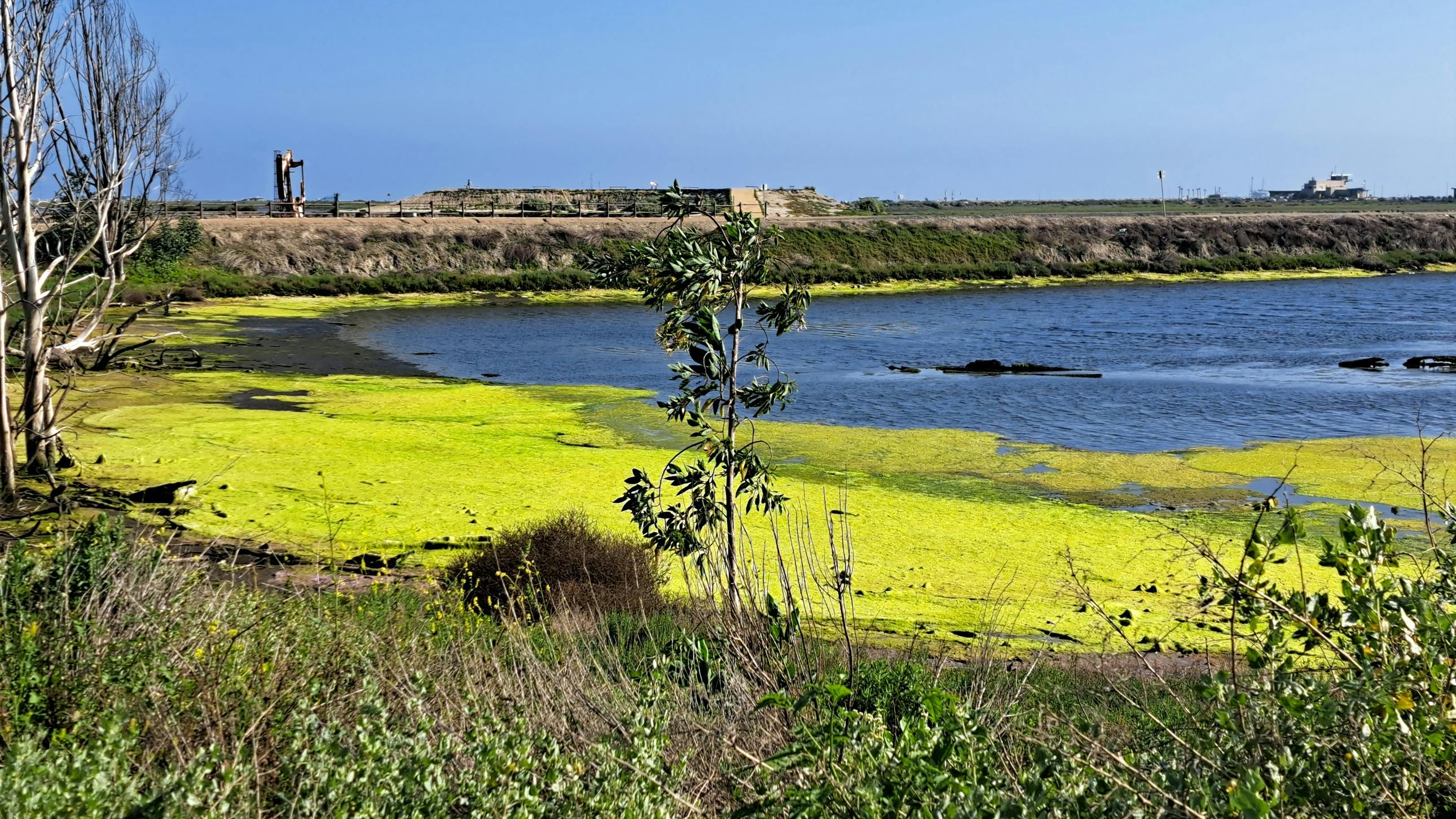 67127b27ceb6cc681429a0b7 Dreamstime L 317199516