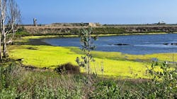 67127b27ceb6cc681429a0b7 Dreamstime L 317199516 67127b27ceb6cc681429a0b7 Dreamstime L 317199516