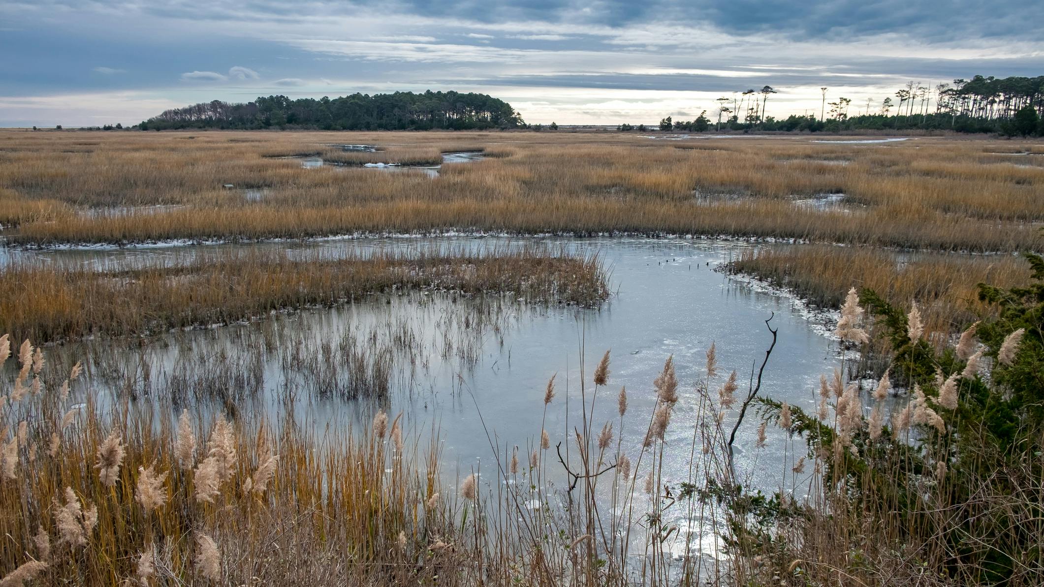 671ff310fe5e8ee43c750296 Dreamstime M 185258830