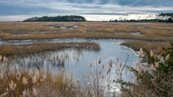 671ff310fe5e8ee43c750296 Dreamstime M 185258830 671ff310fe5e8ee43c750296 Dreamstime M 185258830