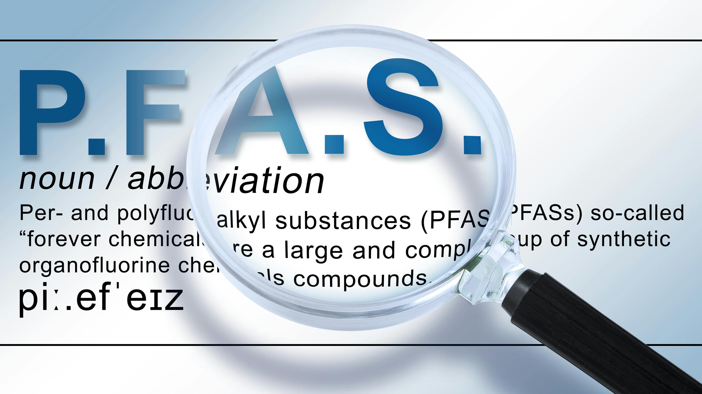 67364a6b5a0563b86e136eeb Dreamstime L 324951014