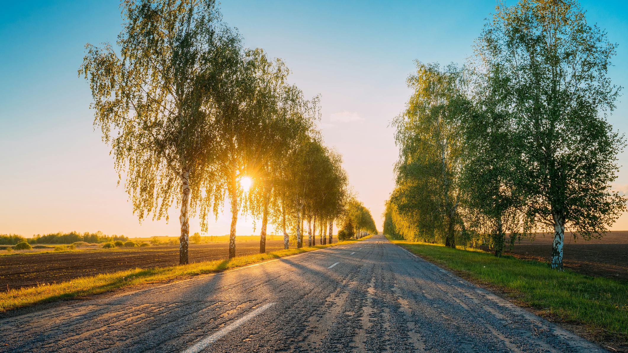 673bb4471e46c78650c19d96 Dreamstime M 92896394