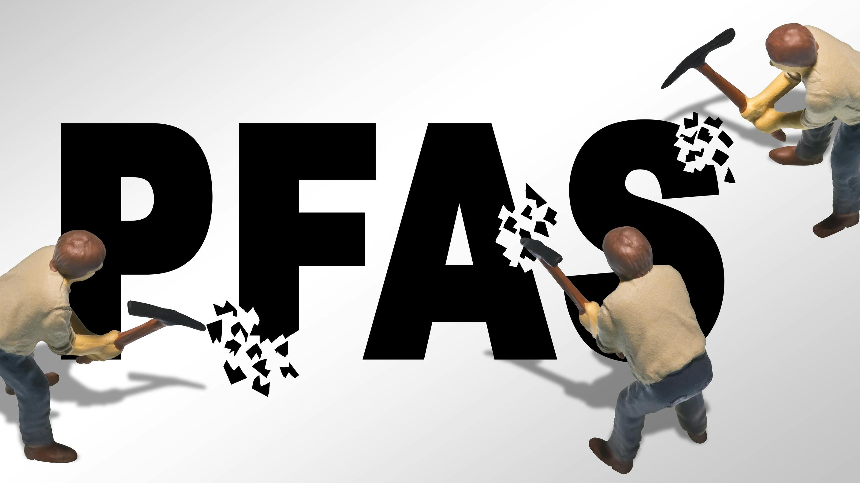 6751e583e2d02557fd78db39 Dreamstime L 346193520