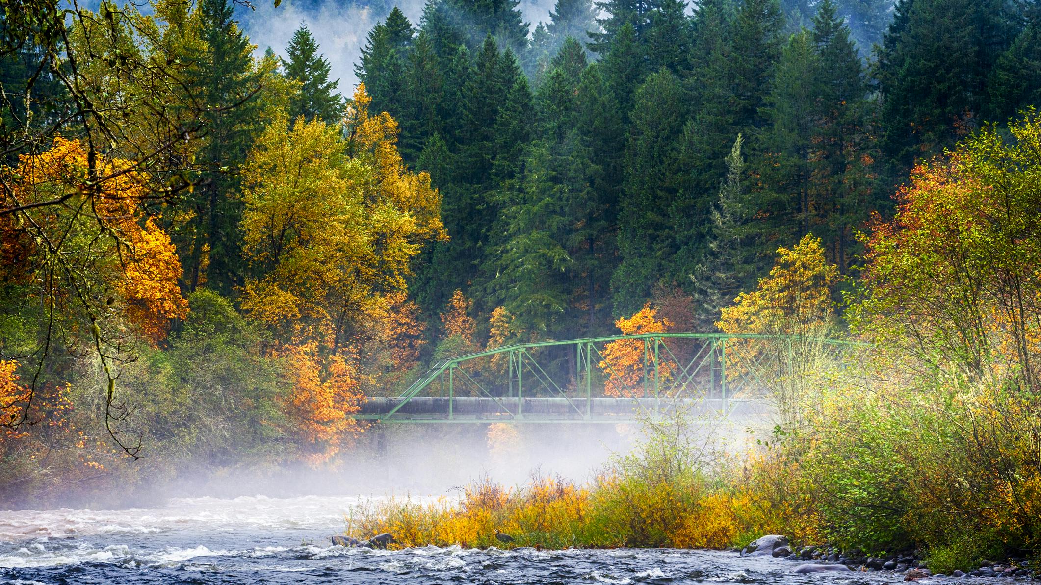 6761be920a152e486f4faa97 Dreamstime M 108250640