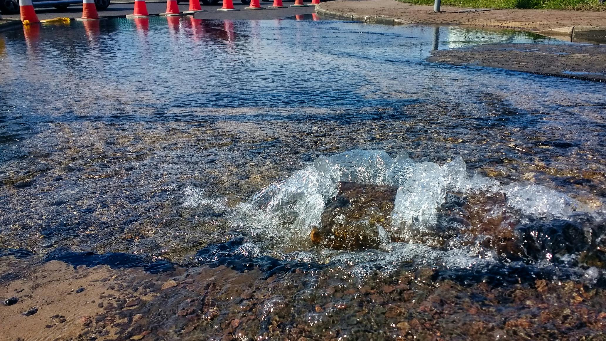 6765cb8339ba61fc94a7d79c Dreamstime M 156141395