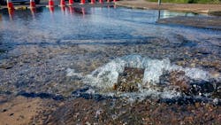 6765cb8339ba61fc94a7d79c Dreamstime M 156141395 6765cb8339ba61fc94a7d79c Dreamstime M 156141395