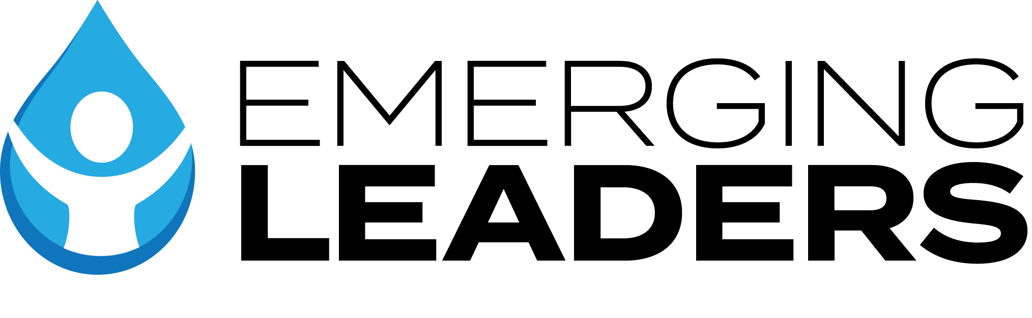 67a38bdbc2de3222038dd97e Emerging Leaders Final