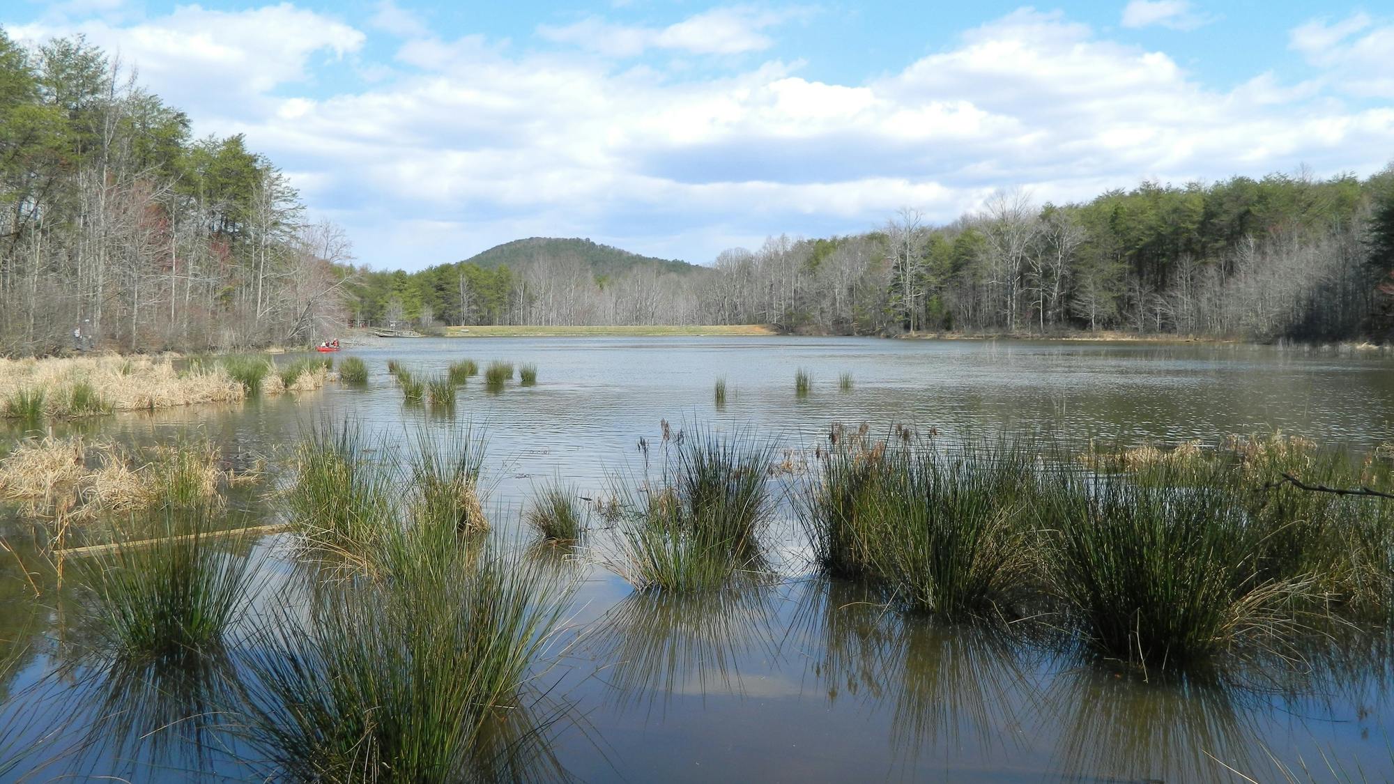 67bdfbda2a5ba61809404600 Dreamstime M 336104728