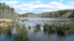 67bdfbda2a5ba61809404600 Dreamstime M 336104728 67bdfbda2a5ba61809404600 Dreamstime M 336104728