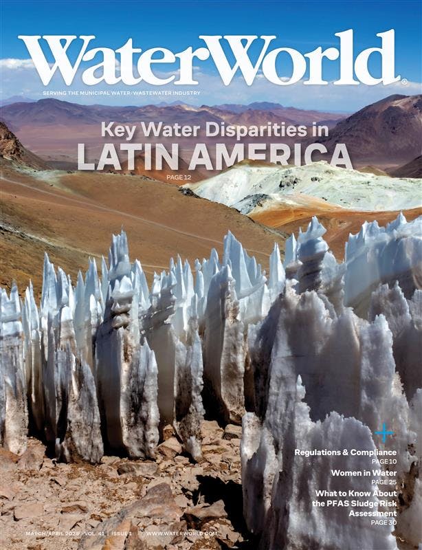 Volume 41, Issue 1, March/April 2025 cover image
