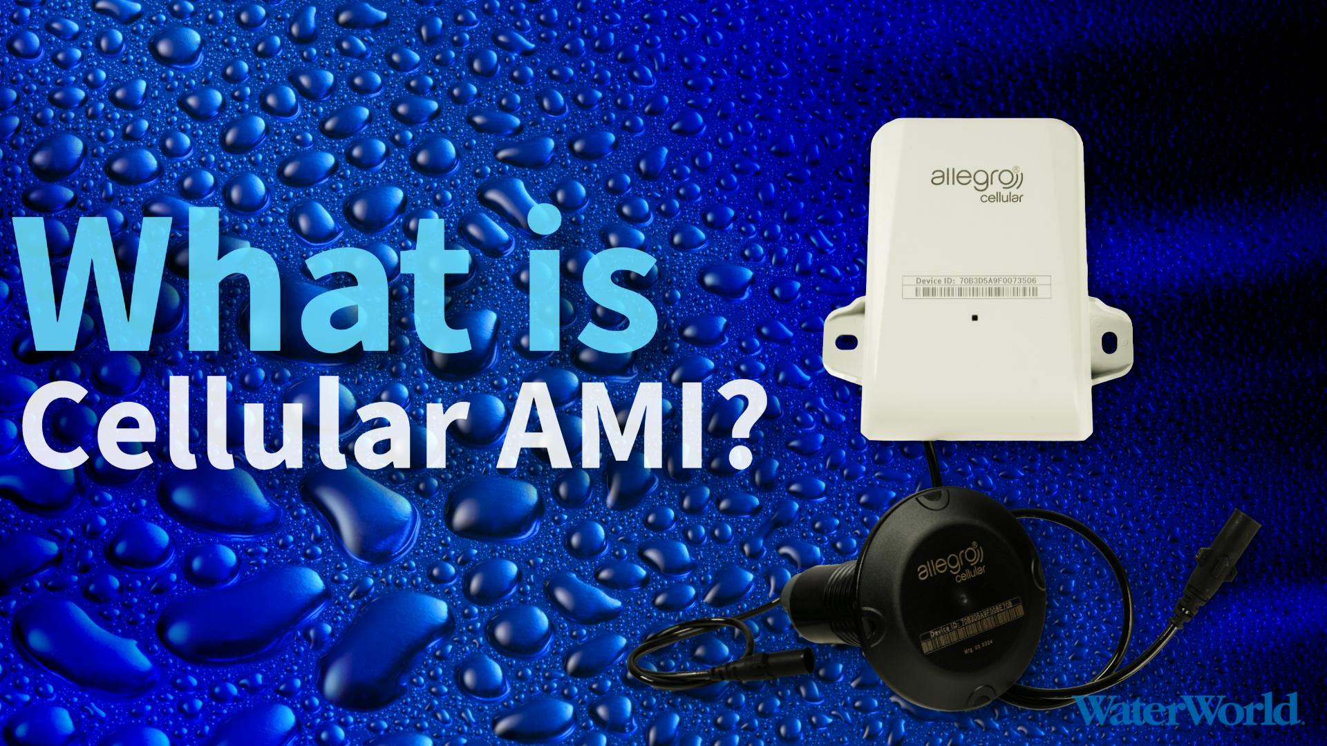 67eeb098386db90eaeca6aa7 Untitled2 6