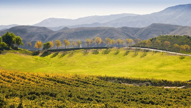 Wine Country, Temecula, Southern California