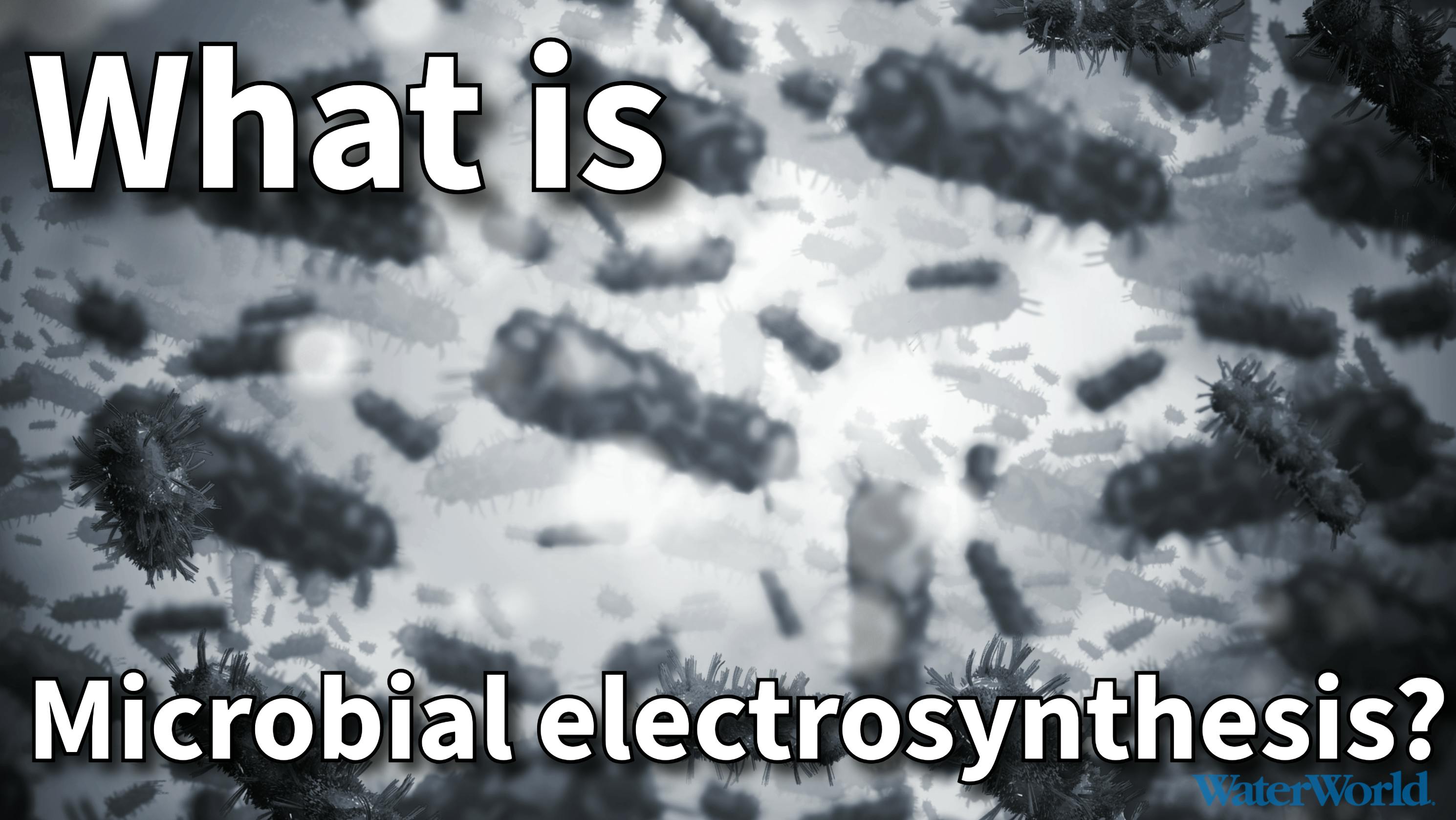 What is microbial electrosynthesis?