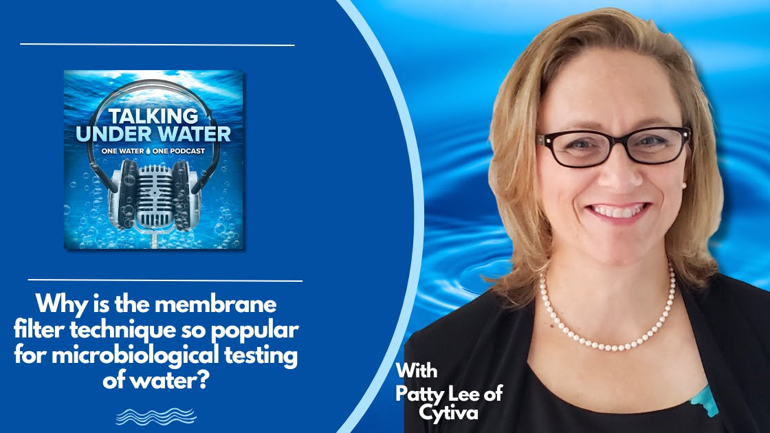 cytivapodcastdec2024