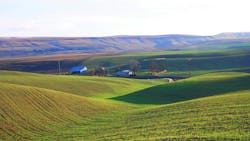 Lovely meadows at Walla Walla Lovely meadows at Walla Walla