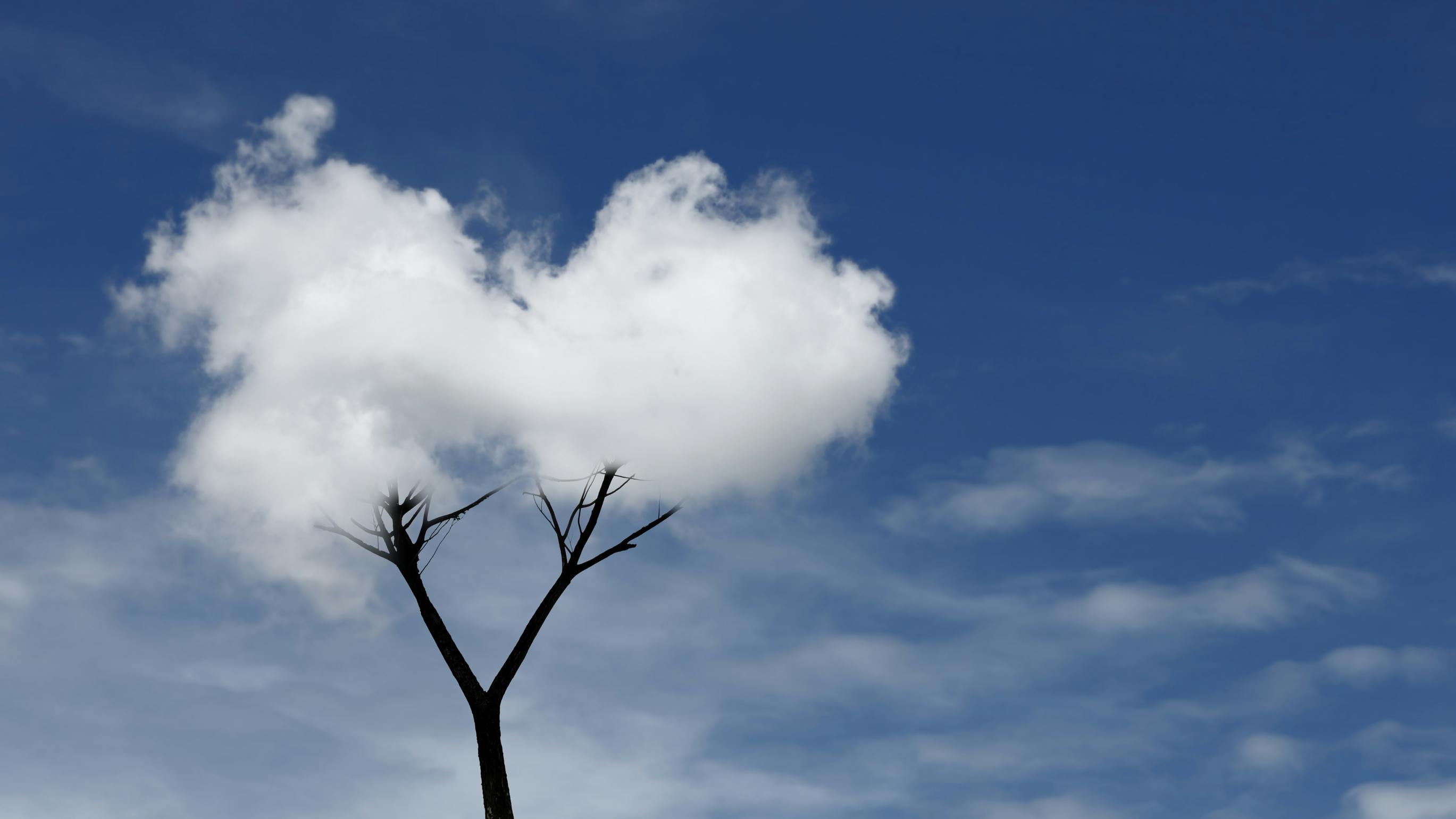 Cany anyone actually control the weather?