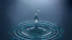 adobestock_1543188111 adobestock_1543188111
