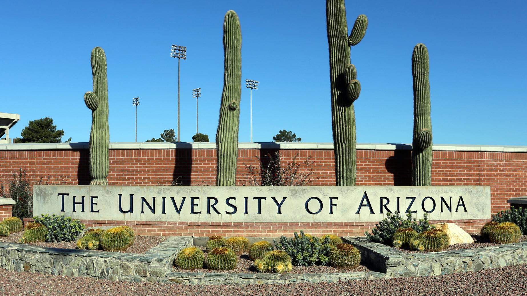 Study links PFAS-contaminated drinking water to billions in annual health costs