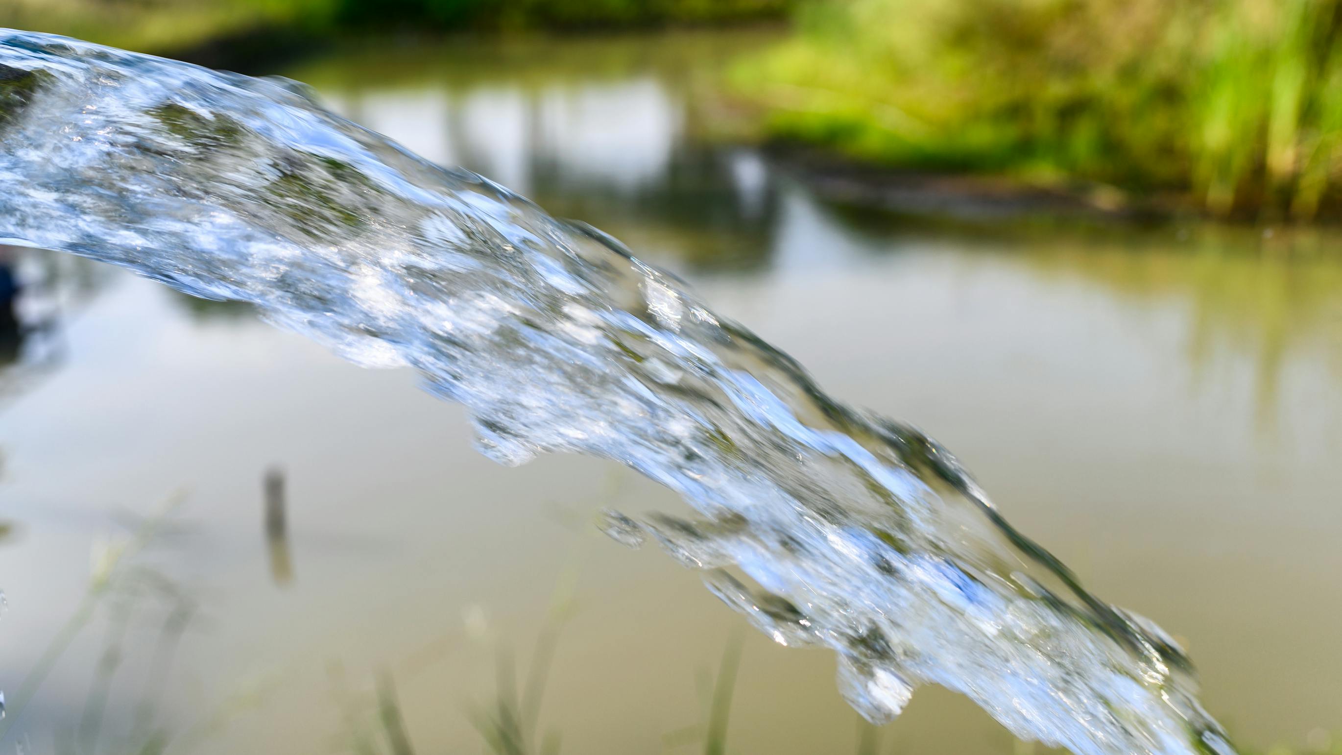 Groundwater gushing in pond