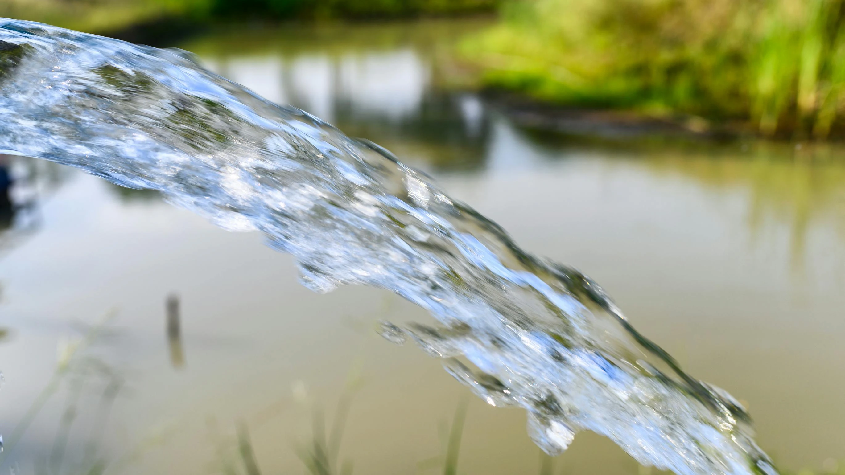 Groundwater gushing in pond