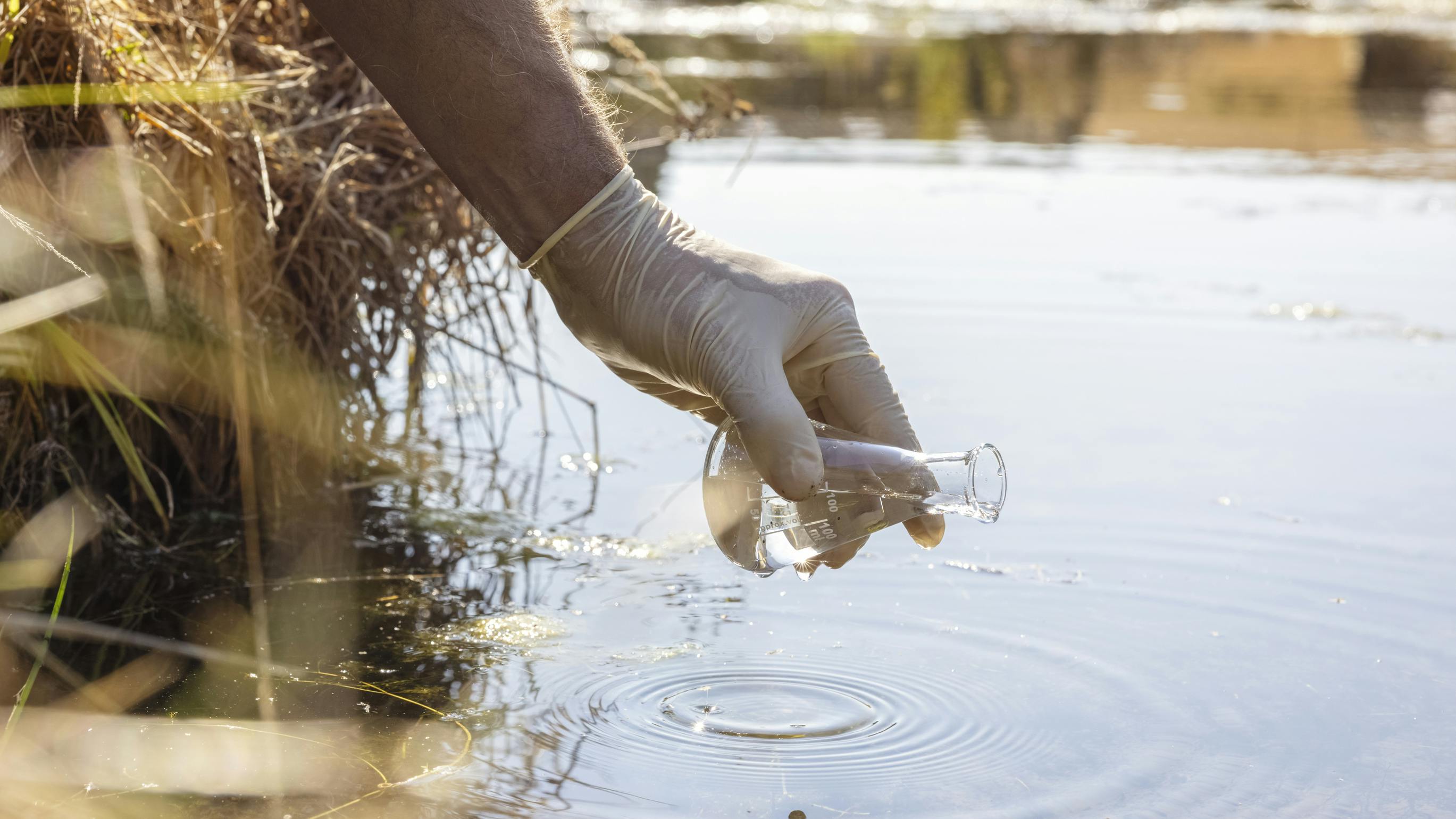 Coalition urges EPA, HHS to address nitrate contamination in drinking water
