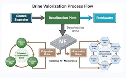 Figure 1: Process schematic of brine valorization plant. Figure 1: Process schematic of brine valorization plant.
