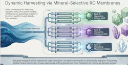Figure 4: Combining selective RO membranes for specific minerals in one SWRO system. Figure 4: Combining selective RO membranes for specific minerals in one SWRO system.