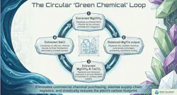 Figure 7: Paradigm shift 4 - Generation of desalination plant chemicals from brine. Figure 7: Paradigm shift 4 - Generation of desalination plant chemicals from brine.