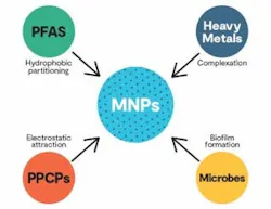 Figure 1: Interaction between MNPs and other contaminants such as PFAS, PPCPs, heavy metals and microbes. The representative interactions are also shown. Figure 1: Interaction between MNPs and other contaminants such as PFAS, PPCPs, heavy metals and microbes. The representative interactions are also shown.
