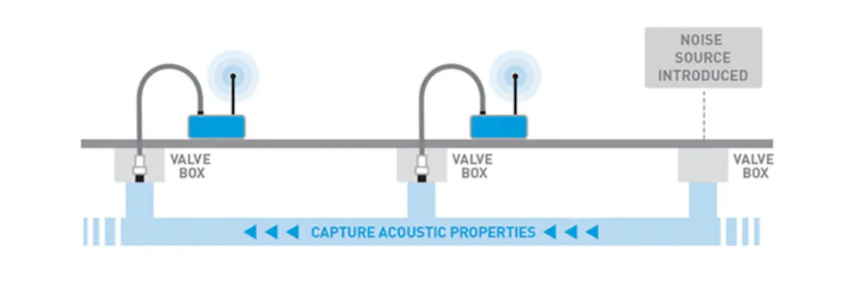 Condition assessment using Echologic ePulse.