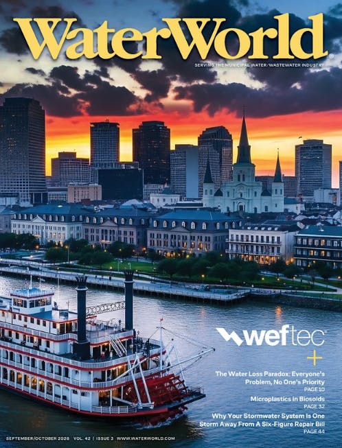 Volume 42 Issue 3 September/October 2026 cover image