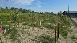 A PEIR Barrier™ field study. PEIR Barrier does not require large trees, designs can be adapted to other environments by carefully selecting for “best-fit” species and appropriate locations.